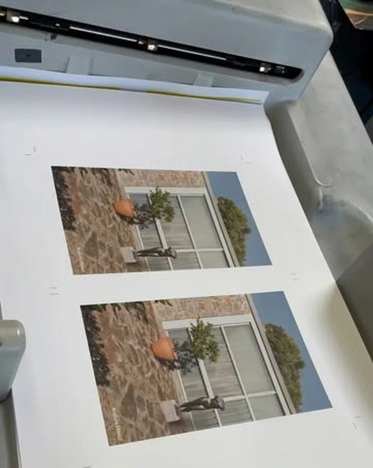 Art book pages coming off the press