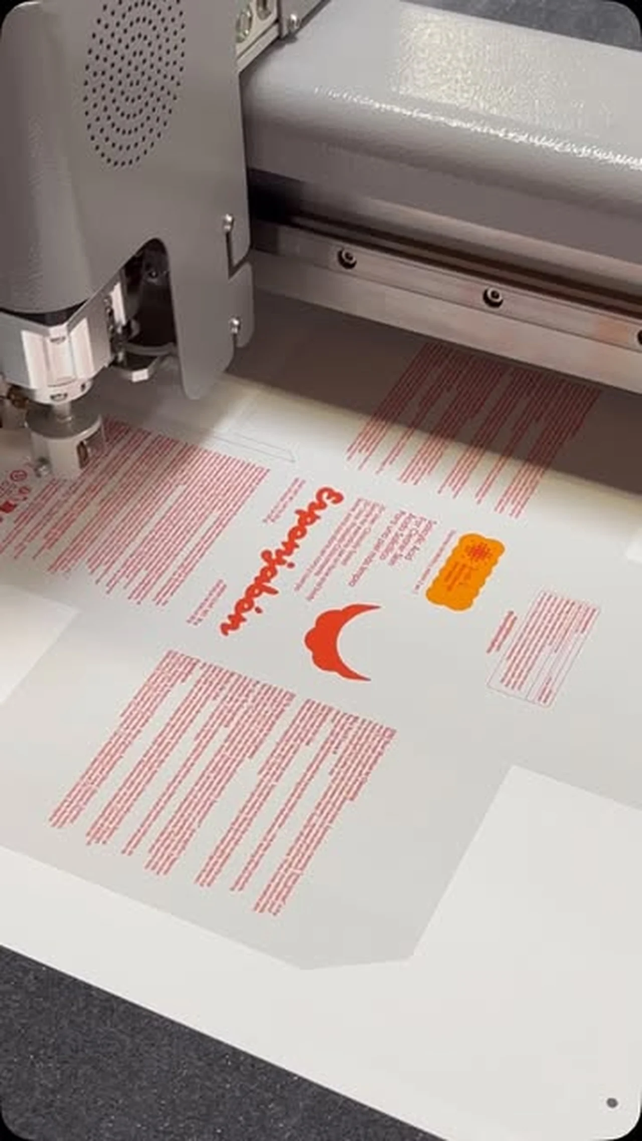 Packaging dieline on the cutting plotter — packaging printing example